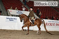 09buck-0309 proof