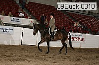 09buck-0310 proof