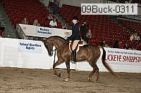 09buck-0311 proof