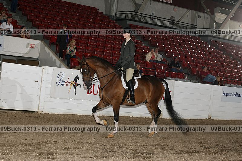 Proof 09buck-0313