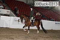 09buck-0313 proof