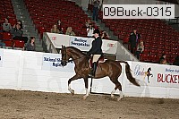 09buck-0315 proof