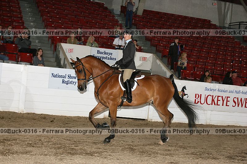 Proof 09buck-0316