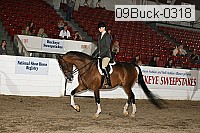 09buck-0318 proof