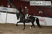 09buck-0319 proof