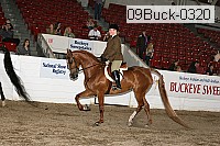 09buck-0320 proof