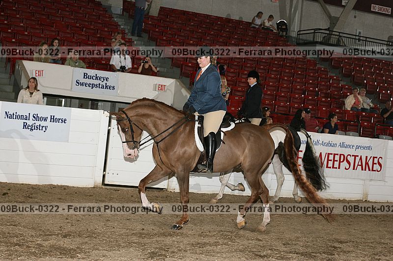 Proof 09buck-0322
