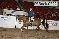 09buck-0322 proof