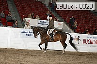 09buck-0323 proof