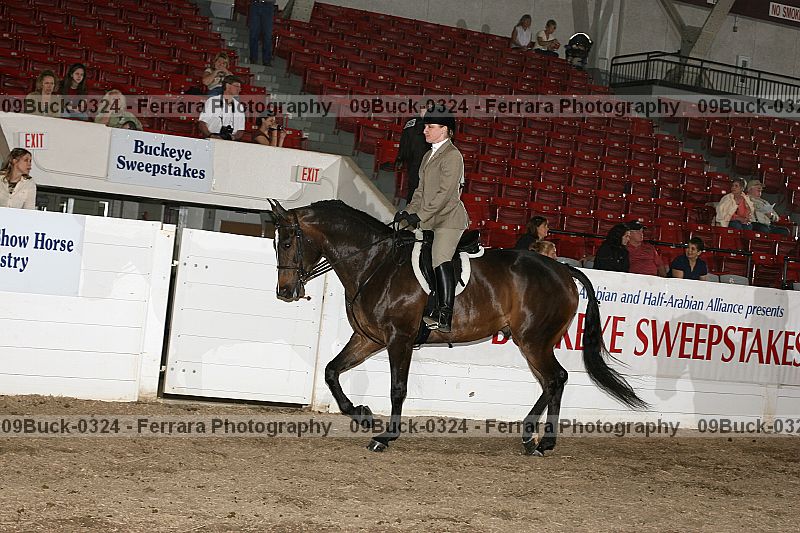 Proof 09buck-0324