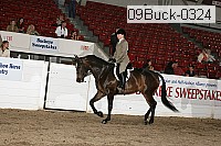 09buck-0324 proof