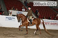 09buck-0325 proof
