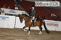 09buck-0326 proof