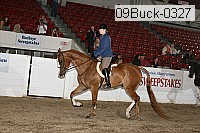 09buck-0327 proof