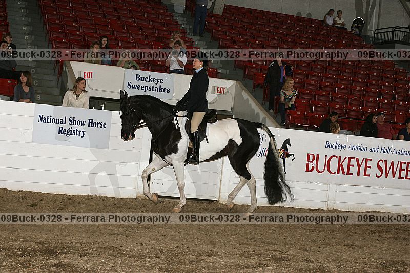 Proof 09buck-0328