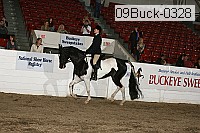 09buck-0328 proof