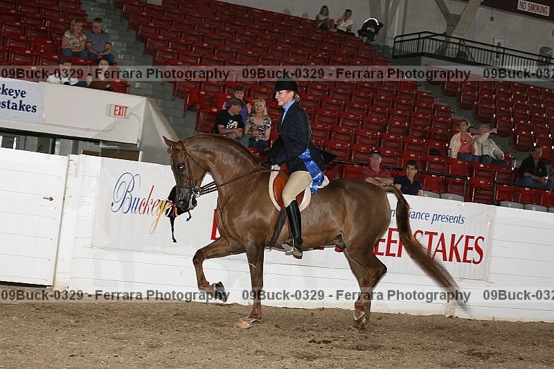 Proof 09buck-0329
