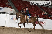 09buck-0329 proof