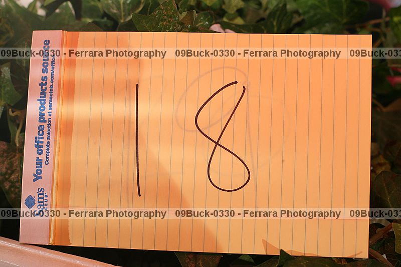 Proof 09buck-0330