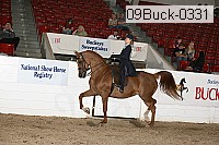 09buck-0331 proof