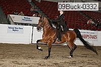 09buck-0332 proof