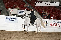 09buck-0334 proof