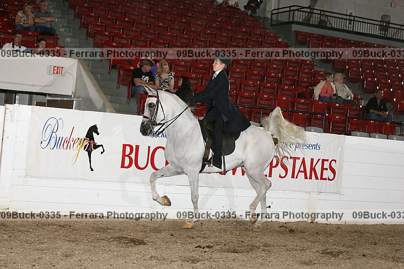 Proof 09buck-0335