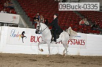 09buck-0335 proof