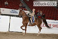 09buck-0336 proof