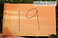 09buck-0337 proof