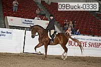 09buck-0338 proof
