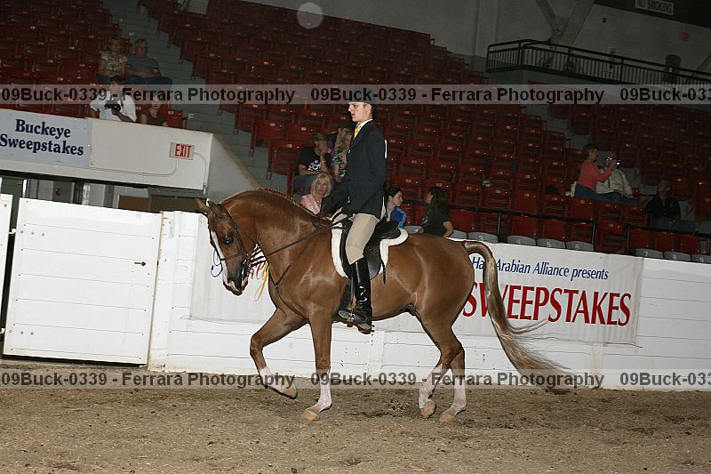 Proof 09buck-0339