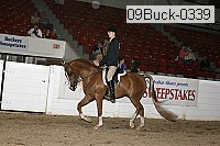 09buck-0339 proof