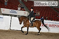 09buck-0340 proof