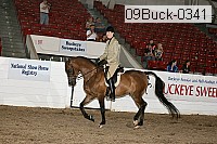 09buck-0341 proof