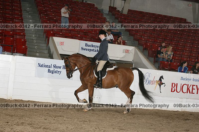 Proof 09buck-0342