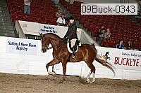 09buck-0343 proof
