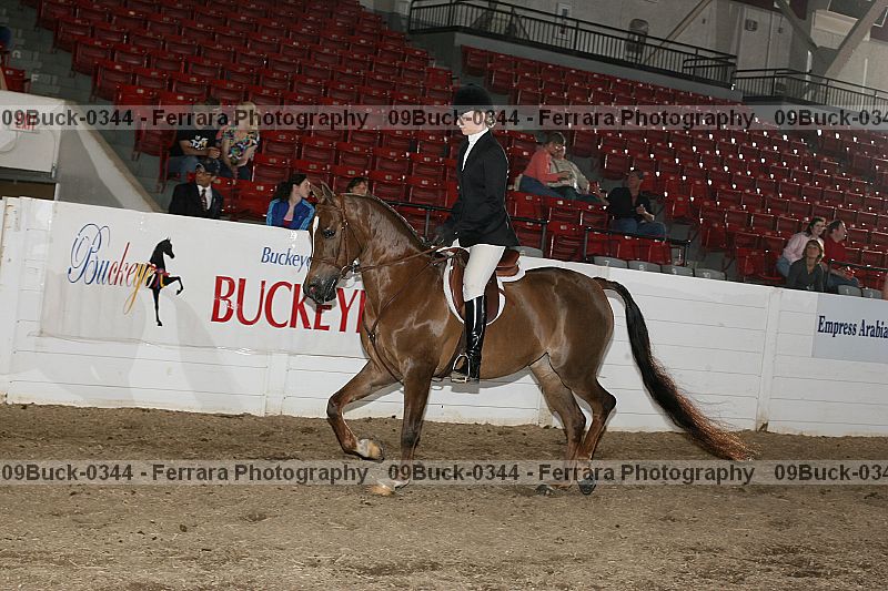Proof 09buck-0344