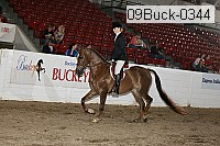 09buck-0344 proof