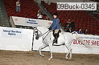 09buck-0345 proof