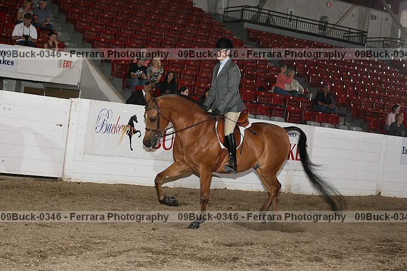 Proof 09buck-0346