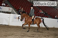 09buck-0346 proof