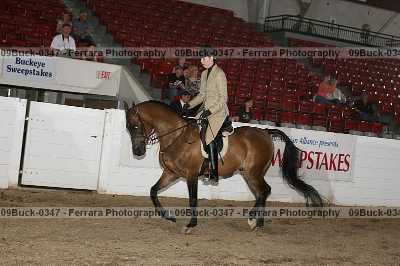 Proof 09buck-0347