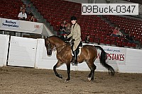 09buck-0347 proof
