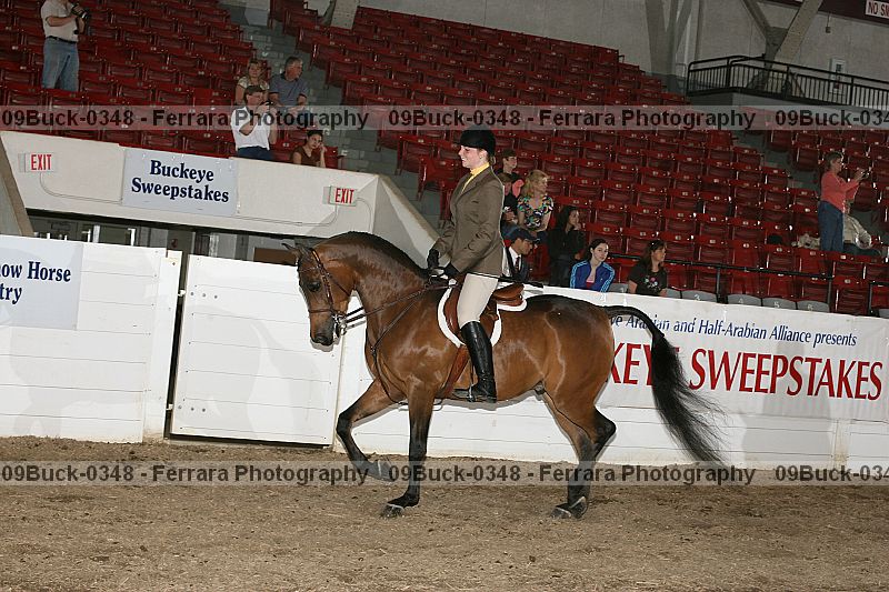 Proof 09buck-0348