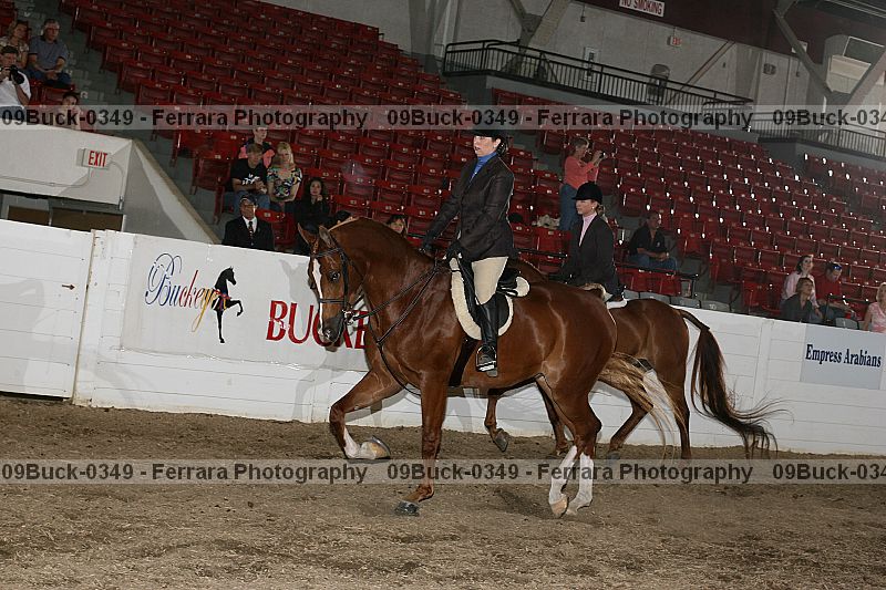 Proof 09buck-0349