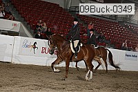 09buck-0349 proof