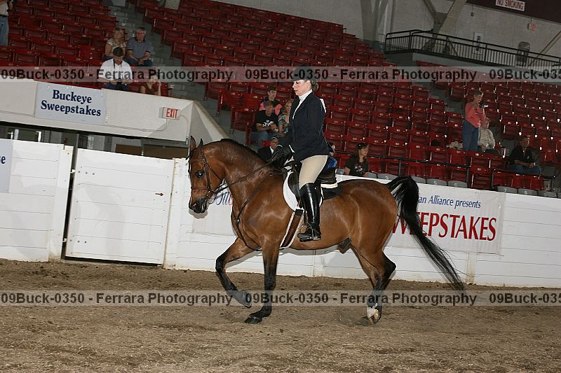 Proof 09buck-0350