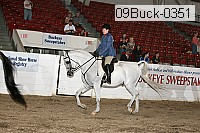 09buck-0351 proof