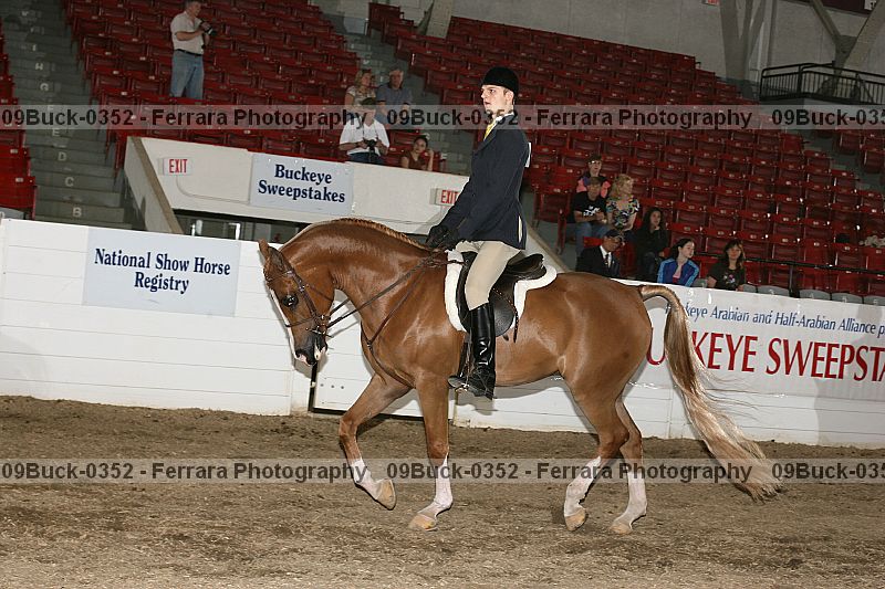 Proof 09buck-0352